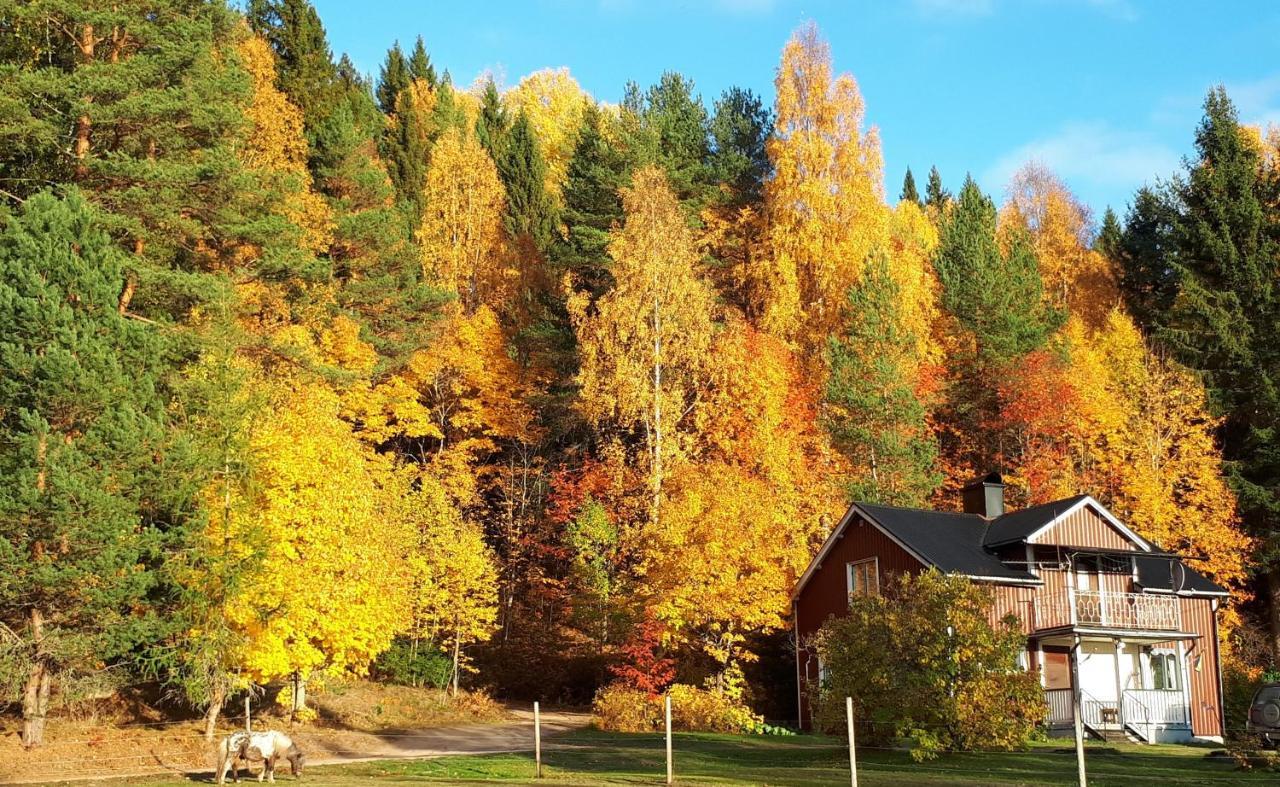 Little Forest House "Our Little Farm" Ekshärad エクステリア 写真