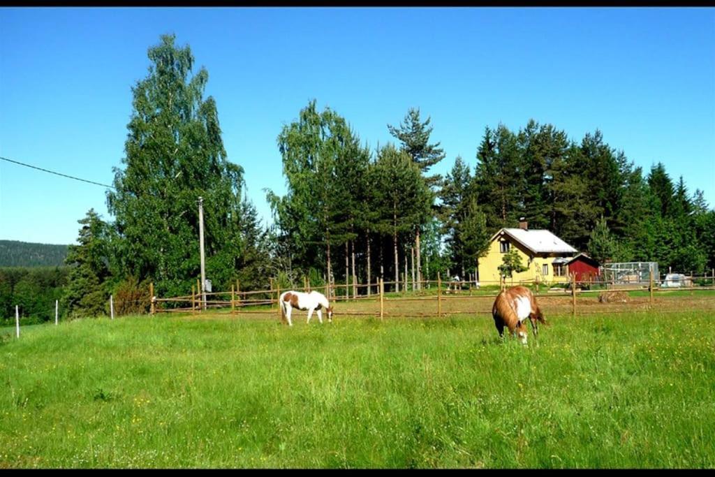 Little Forest House "Our Little Farm" Ekshärad エクステリア 写真