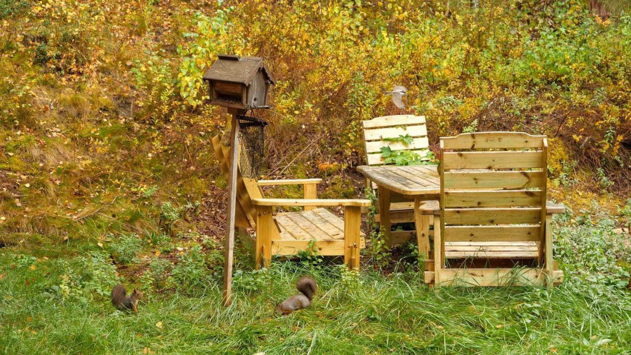 Little Forest House "Our Little Farm" Ekshärad エクステリア 写真