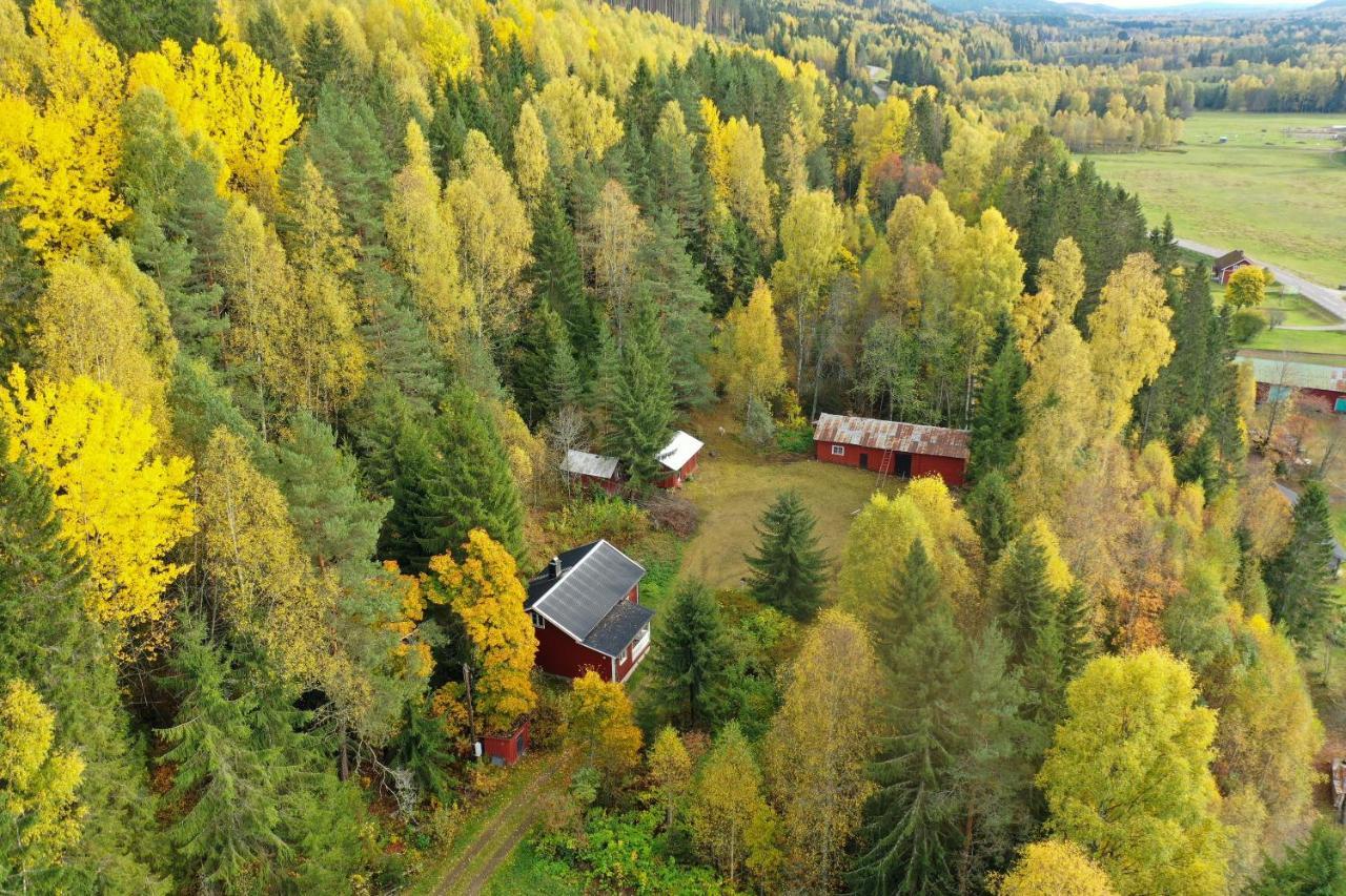 Little Forest House "Our Little Farm" Ekshärad エクステリア 写真