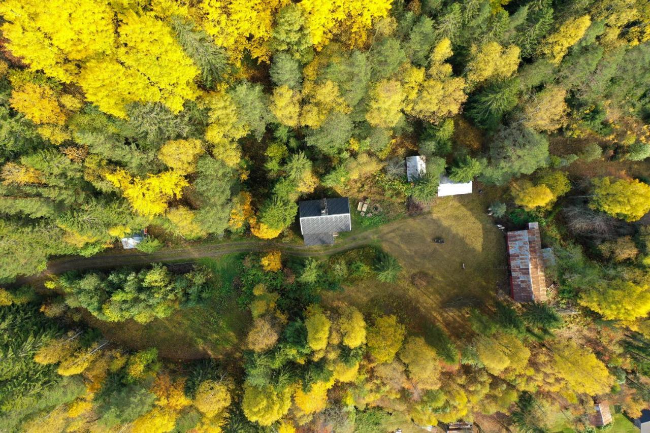 Little Forest House "Our Little Farm" Ekshärad エクステリア 写真