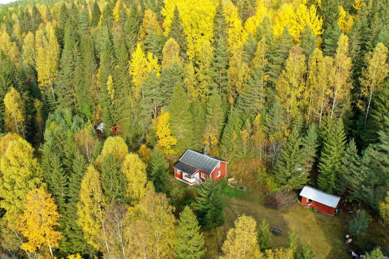 Little Forest House "Our Little Farm" Ekshärad エクステリア 写真